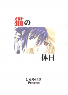 (SC20) [Shimoyakedou (Ouma Tokiichi)] Neko no Kyuujitsu | Cat's Holiday (Tsukihime) [English] [SaHa] - page 34