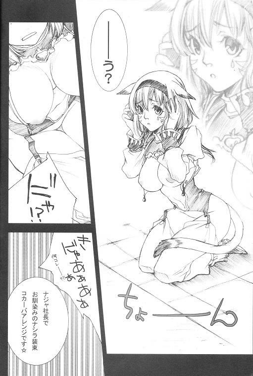 (C74) [Akai Tsubasa (Tachibana Chata)] LOVE FOOL 02 (Final Fantasy XI) page 14 full