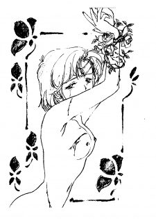Furi (Sailor Moon) - page 2