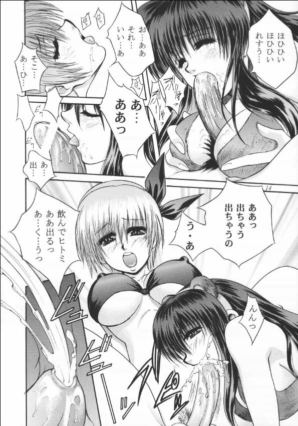 [Okazu Club (Mita Ryuusuke)] Rakuen Baby (Dead or Alive) page 13 full