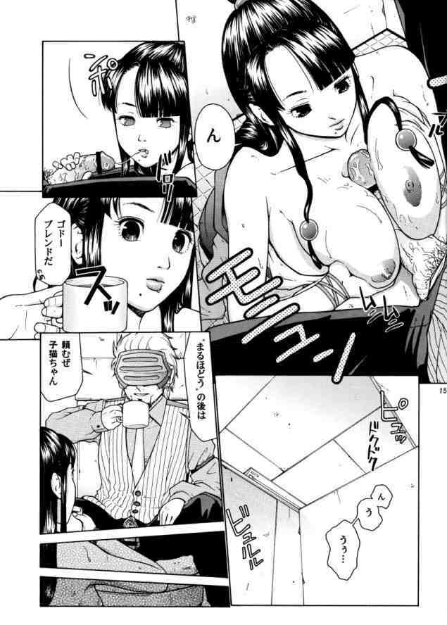 (C67) [Hallenchi Planet (Tateno Tomoki)] TWT 2 (Phoenix Wright 3) page 14 full