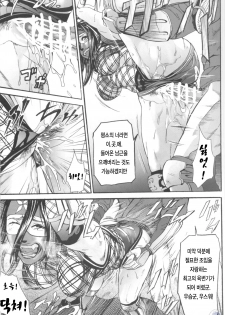 (CT10) [Hy-dou (Hyji)] Benikake | 베니카게 (Rumble Roses) [Korean] [LACRIMA] - page 6