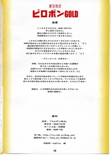 (SC41) [Nagaredamaya (BANG-YOU)] Piropon GOLD (Record of Lodoss War) - page 17