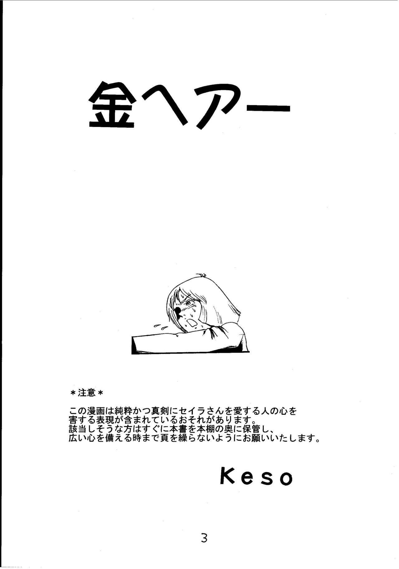 [Skirt Tsuki (keso)] Kin Hair kaitei ban (Mobile Suit Gundam) page 2 full