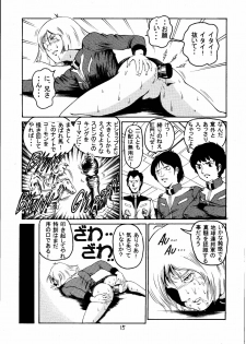 [Skirt Tsuki (keso)] Kin Hair kaitei ban (Mobile Suit Gundam) - page 14