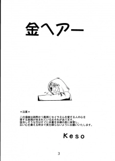 [Skirt Tsuki (keso)] Kin Hair kaitei ban (Mobile Suit Gundam) - page 2