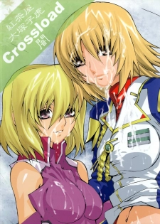 [Kouchaya (Kotora Ootsuka)] Crossroad Yami (Gundam SEED Destiny) - page 40