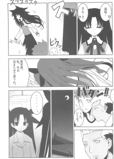 (C68) [Studio Himawari (Himukai Kyousuke, Ginta)] Daiunmei 3 (Fate/stay night) - page 11