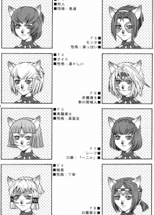 (C66) [Mederukai (Yoshino Koyuki)] Mithra o Mederu Hon 3+1 (Final Fantasy XI) [English] [SaHa] - page 3
