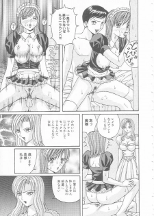 [Arai Kaikan] Mesuinu Maid - page 33