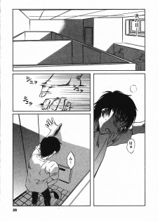 [Nakamura Uzuki] Iseiai Hakusho - Heterosexuality 2 - page 30