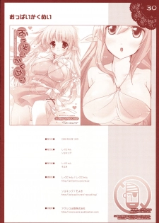 (C74) [Shigunyan, Soyoking (Soyoki)] Oppai Kakumei (Zero no Tsukaima) - page 29
