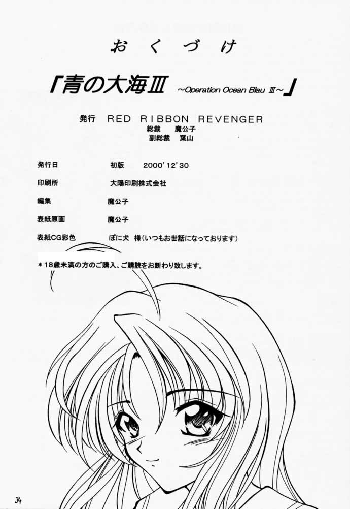(C59) [RED RIBBON REVENGER (Makoushi)] Elf's Ear Book 3 - Ao no Taikai III ~Operation Ocean Blau III~ (Star Ocean 2) page 33 full