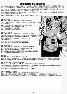 (C59) [RED RIBBON REVENGER (Makoushi)] Elf's Ear Book 3 - Ao no Taikai III ~Operation Ocean Blau III~ (Star Ocean 2) - page 32