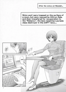 (C70) [GUST (Harukaze Soyogu)] Burning!! 3 (Mobile Suit Gundam SEED DESTINY) [English] [Rhapfan] - page 4