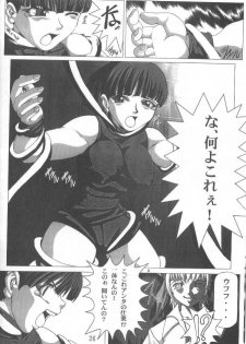 (C58) [Power Slide (Uttorikun, DENIM)] Fuusen (ZOIDS, Dead or Alive) - page 25