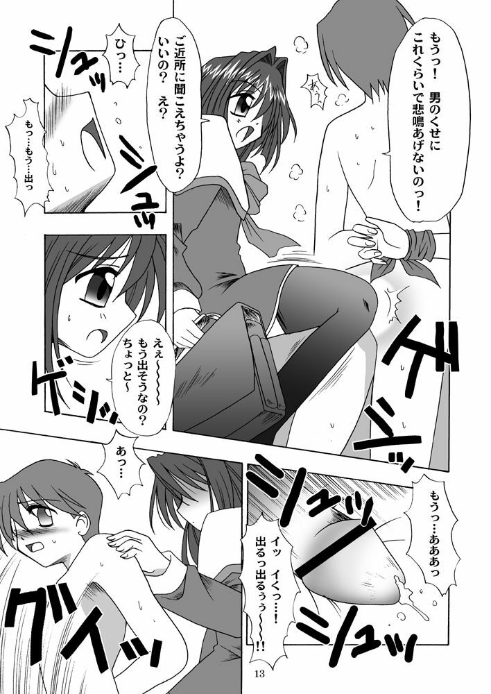 (C63) [MSIZE (Riumu)] Seme Kanon (Kanon) page 14 full