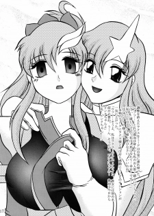 (C68) [Studio Kyawn (Murakami Masaki, Sakaki Shigeru)] Jikken Ningyou ～Lacus Clyne & Meer Campbell～ (Mobile Suit Gundam SEED DESTINY) - page 16