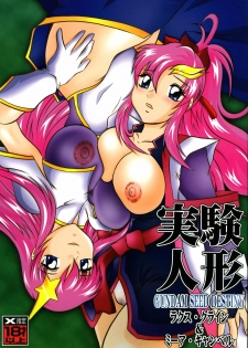 (C68) [Studio Kyawn (Murakami Masaki, Sakaki Shigeru)] Jikken Ningyou ～Lacus Clyne & Meer Campbell～ (Mobile Suit Gundam SEED DESTINY) - page 1