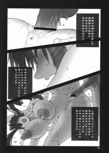 (C71) [P-collection (nori-haru)] Kakutou Complete Joukan (Capcom VS SNK) - page 13