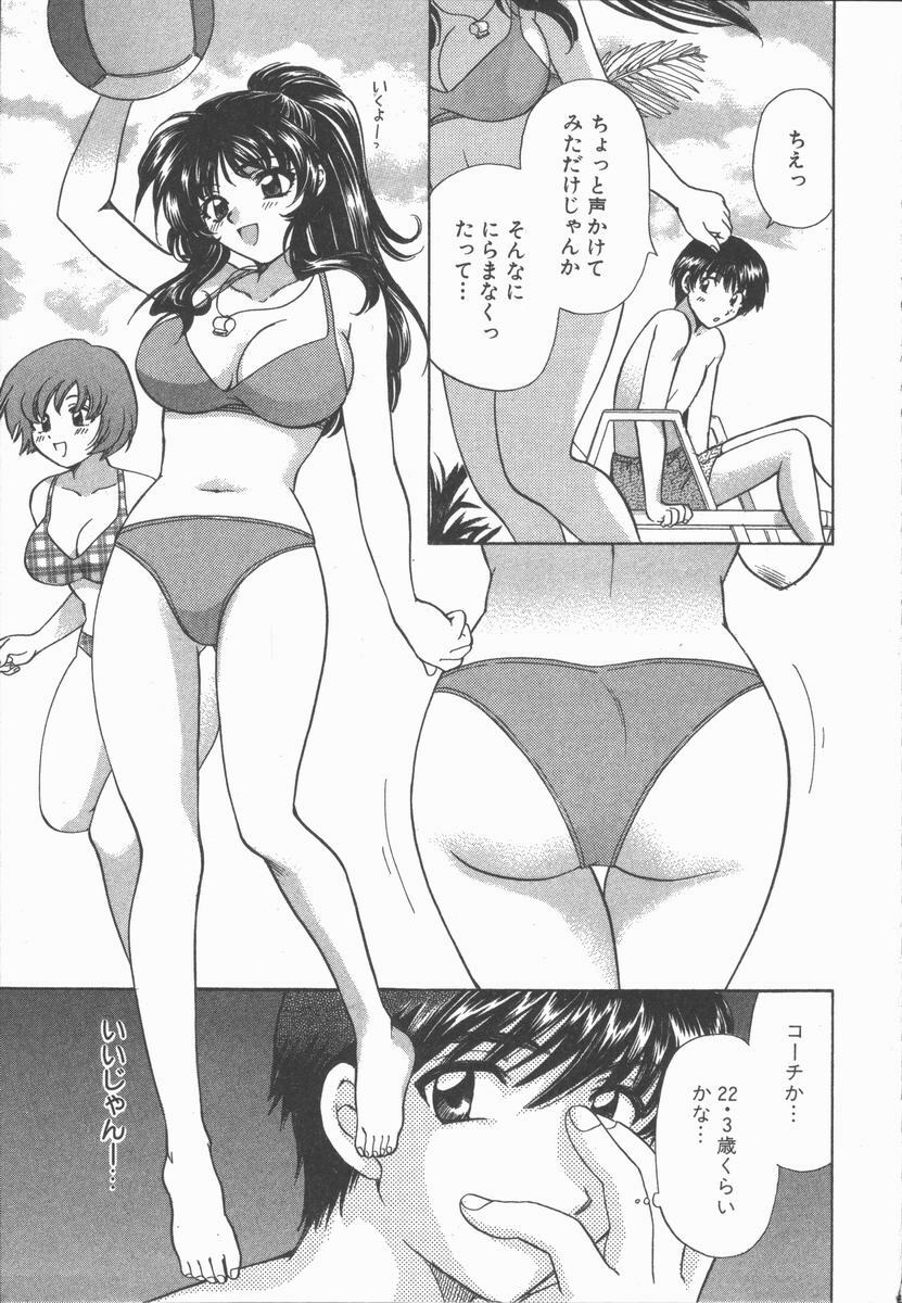 [Hirose Miho] Tadaima Full House page 197 full