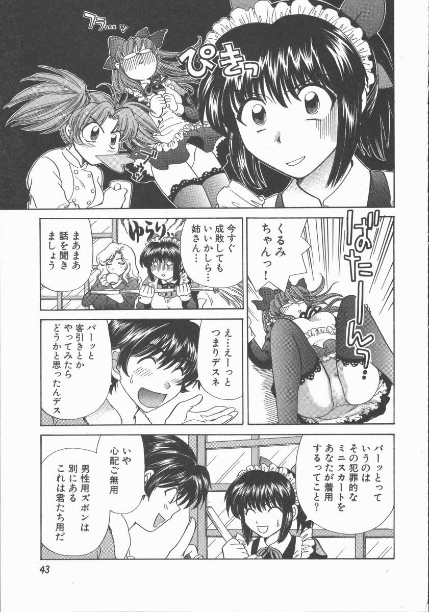 [Hirose Miho] Tadaima Full House page 45 full