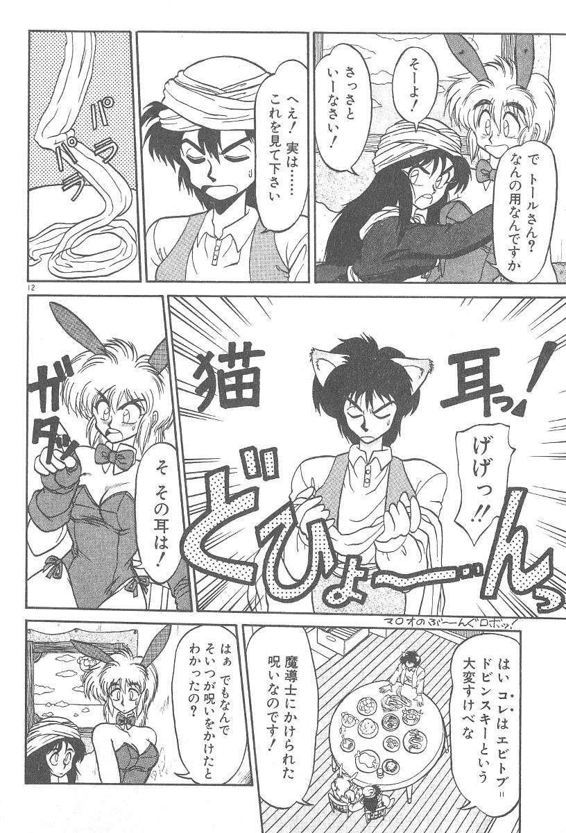 [Neriwasabi] Kimagure Bunny no Bouken page 14 full