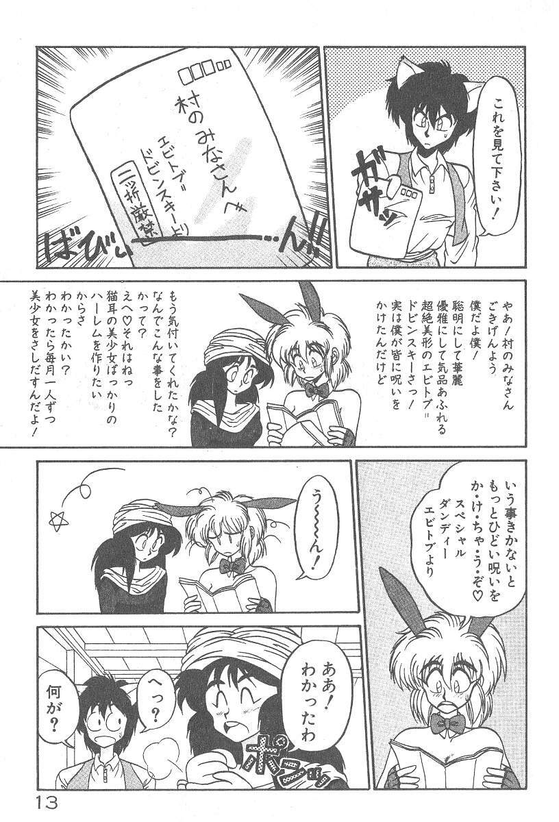 [Neriwasabi] Kimagure Bunny no Bouken page 15 full