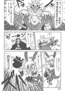 [Neriwasabi] Kimagure Bunny no Bouken - page 22