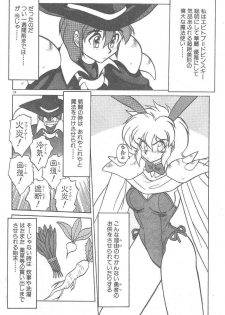 [Neriwasabi] Kimagure Bunny no Bouken - page 26