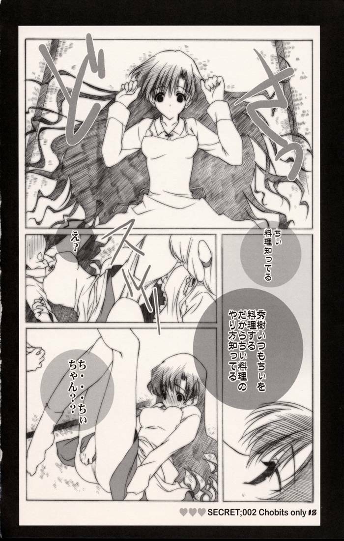 [Shounen x Shoujo (Kisaragi Mizu)] Secret;002 (Chobits) page 16 full