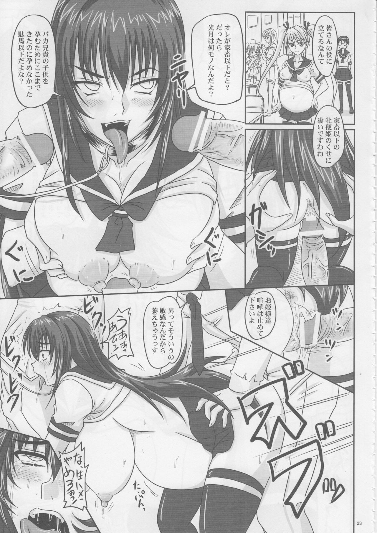 (C74) [Nozarashi (Nozarashi Satoru)] Do-S na Hime wa Kegasareru Haji no San - Kichiku no Utage page 22 full