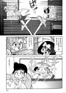 [Mizuki Hitoshi] Kyonyuu Kazoku 3 - page 29