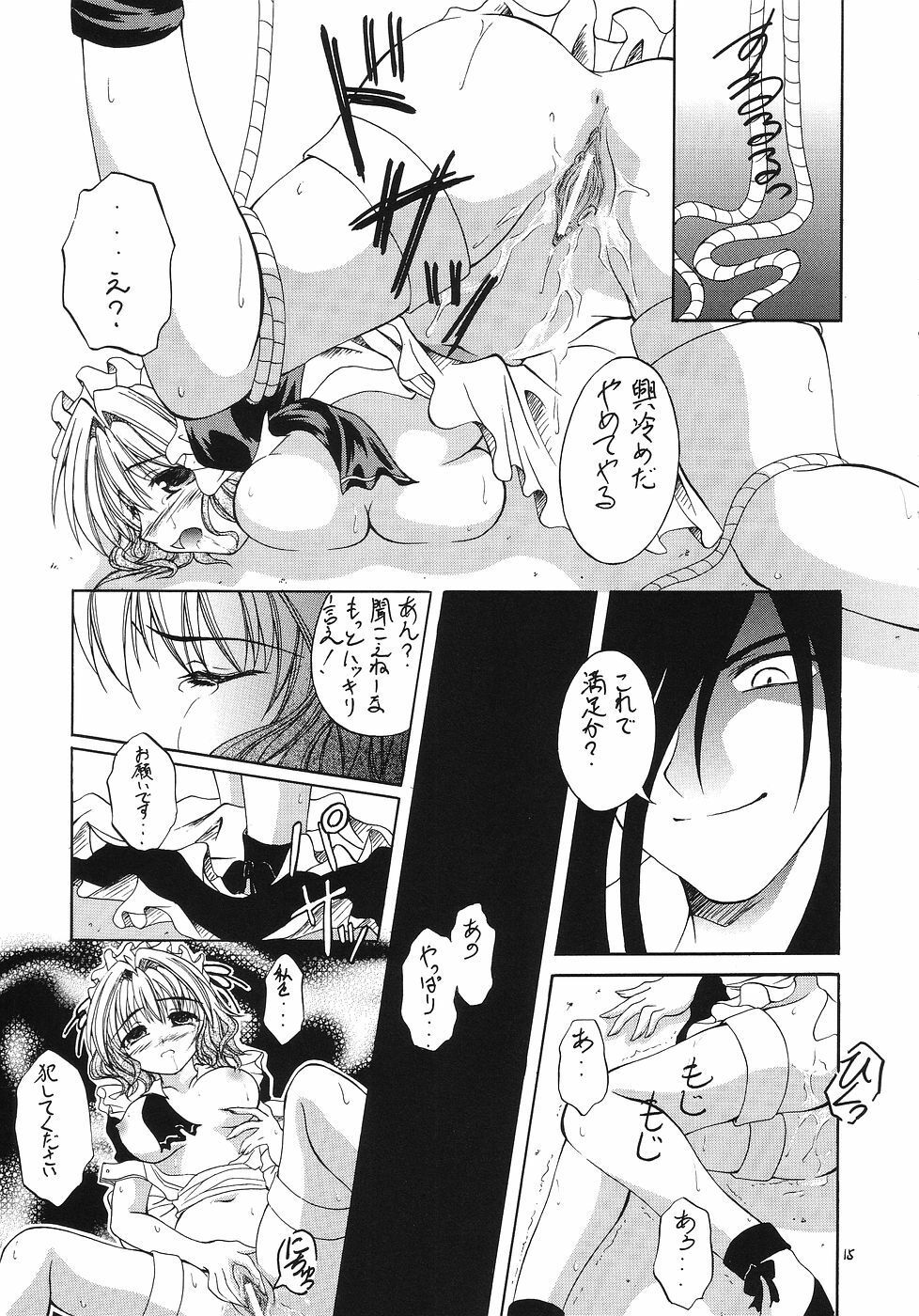 (SC25) [Red Ribbon Revenger (Various)] Kaze no Yousei 2 (Elemental Gelade) page 14 full