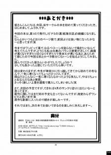 (C71) [ACID-HEAD (Murata.)] Nami no Ura Koukai Nisshi 2 (One Piece) - page 29