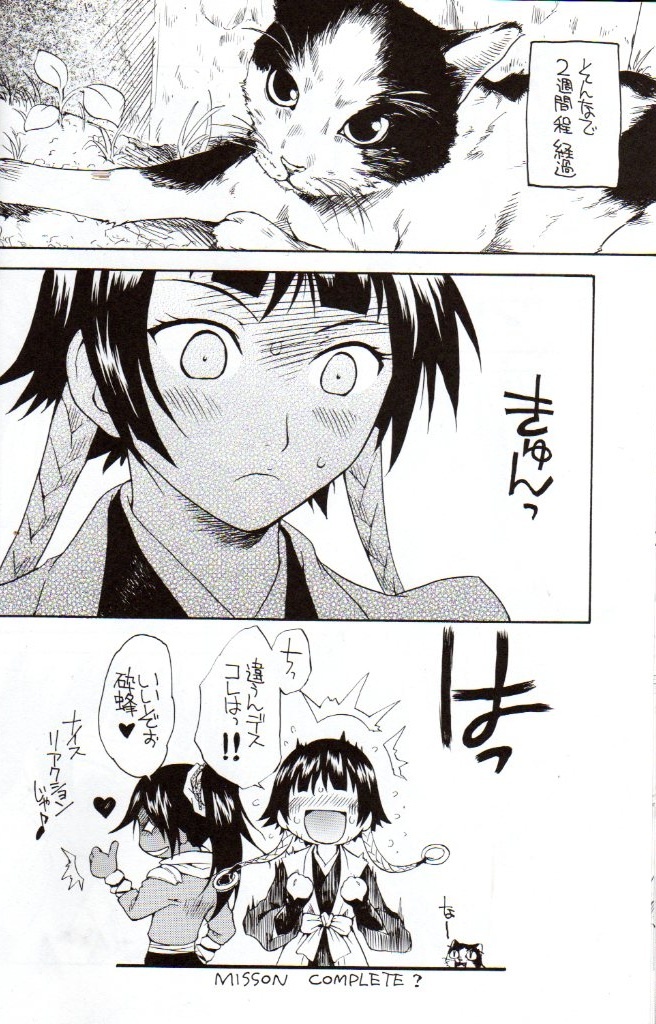 (C71) [Soul Magic (Sudoo Kaoru)] Yorunotobari (Bleach) page 17 full