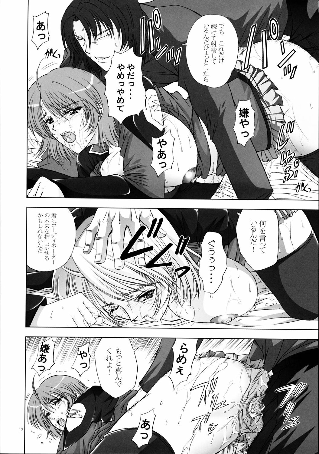 (C67) [Gakuen Hanimokuo (Shinonome Maki)] Rimited Build (Gundam SEED DESTINY) page 11 full