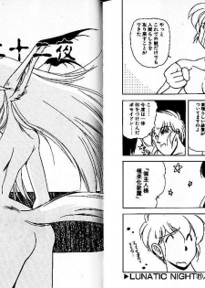 [Mii Akira] Lunatic Night 3 - page 28