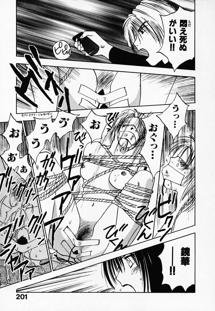 [Juichi Iogi] Reinou Tantei Miko / Phantom Hunter Miko 03 page 205 full