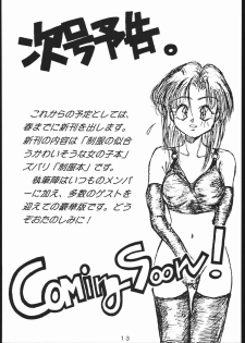 (C49) [STUDIO SPT, SHO-SHIMIN (Various)] EVA2 (Neon Genesis Evangelion) - page 12