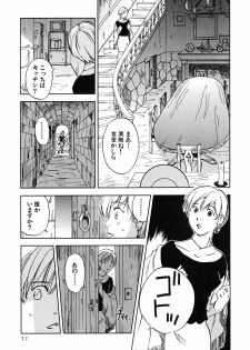 [Iogi Juichi] Magetsukan Kitan Vol 05 - page 14