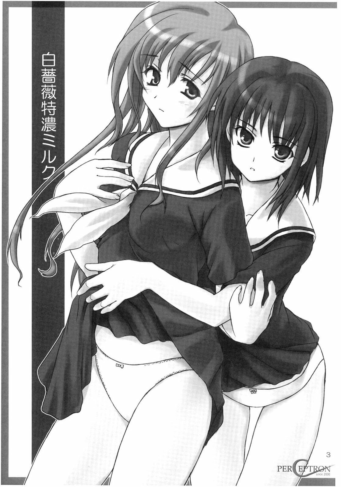 (C68) [Perceptron (Asaga Aoi)] Shiro Bara Tokunou Milk (Maria-sama ga Miteru) page 2 full