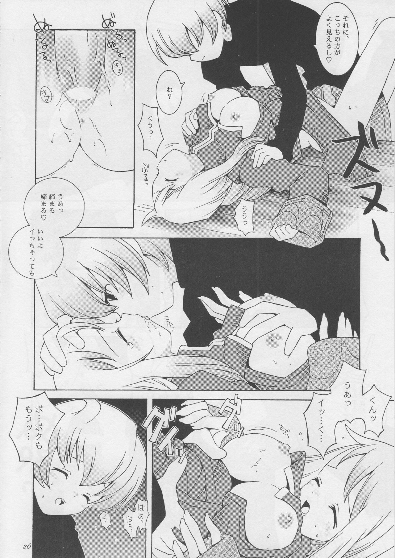 (CR22) [Bakuhatsu BRS. (B.Tarou)] Hoshifuri Teien (Final Fantasy Tactics) page 25 full