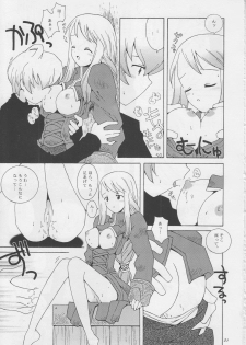 (CR22) [Bakuhatsu BRS. (B.Tarou)] Hoshifuri Teien (Final Fantasy Tactics) - page 20