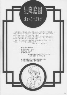 (CR22) [Bakuhatsu BRS. (B.Tarou)] Hoshifuri Teien (Final Fantasy Tactics) - page 29