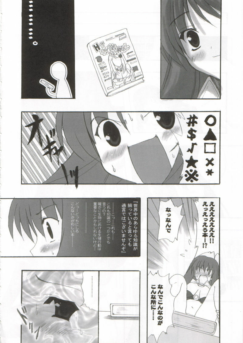 [INFINITY DRIVE (Kyougoku Shin)] Confidential Sister (Ragnarok Online) page 7 full