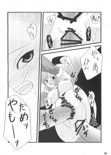 [Sakurayu (Reiso)] rubato (Ragnarok Online) - page 29