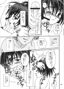 (C67) [PISCES (Hidaka Ryou, Hinase Kazusa)] Mousou Chuuihou (Ichigo 100%) - page 14