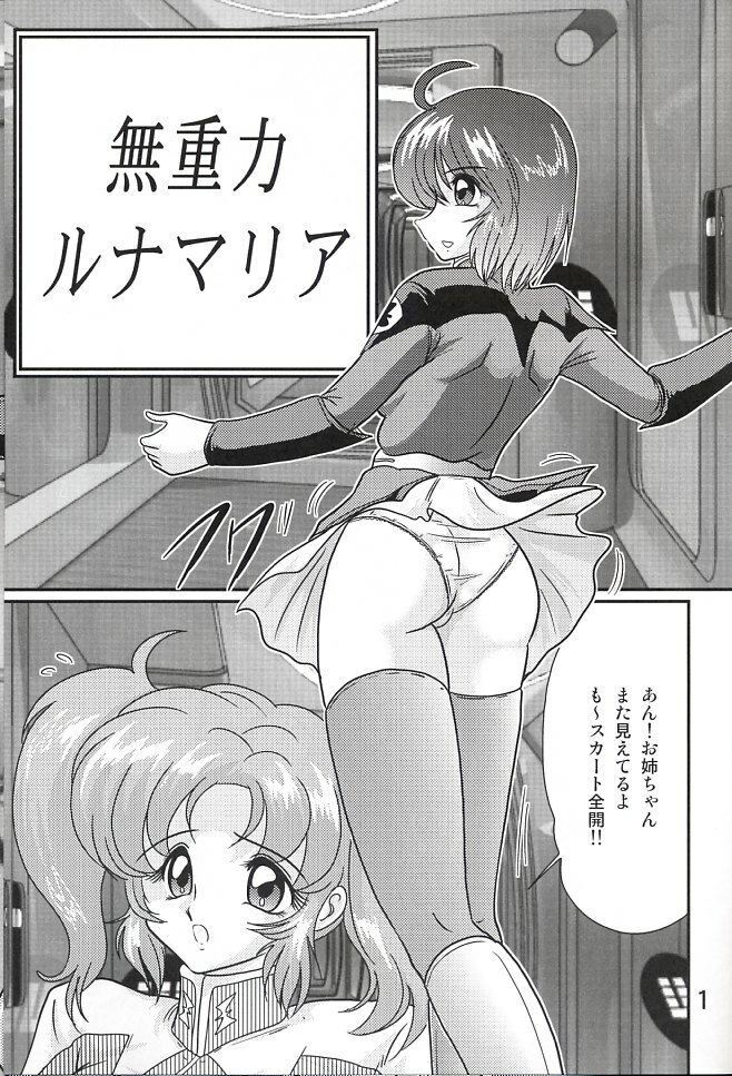 (C67) [Kantou Usagi Gumi (Kamitou Masaki)] Mujuuryoku Lunamaria (Kidou Senshi Gundam SEED DESTINY) page 2 full