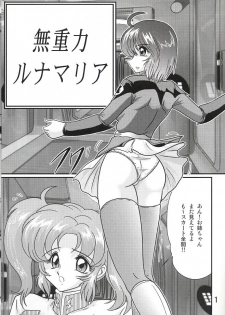 (C67) [Kantou Usagi Gumi (Kamitou Masaki)] Mujuuryoku Lunamaria (Kidou Senshi Gundam SEED DESTINY) - page 2